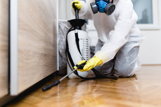 Best Pest Inspection Near Me  in Dunkirk, IN