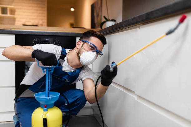 Best Flea Control Services  in Dunkirk, IN