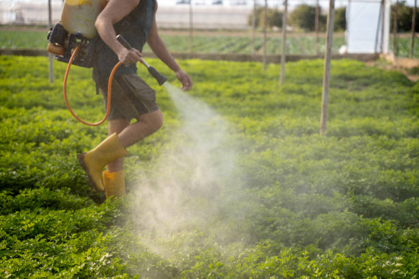 Best Best Pest Control Companies  in Dunkirk, IN