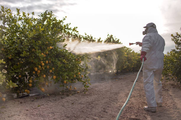Insect Control in Dunkirk, IN