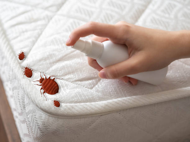 Best Local Pest Control Services  in Dunkirk, IN